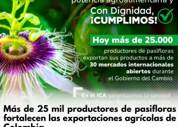 Productores colombianos de pasifloras impulsan exportaciones hacia mercados internacionales
