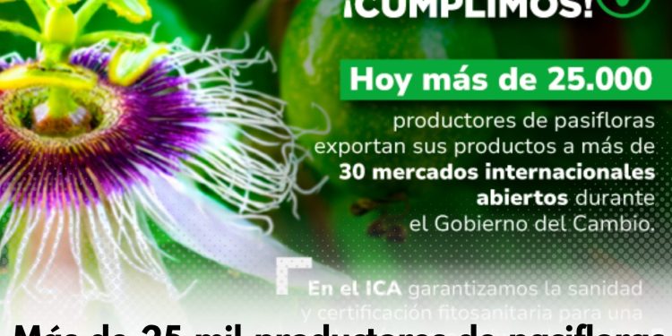 Productores colombianos de pasifloras impulsan exportaciones hacia mercados internacionales