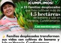Familias campesinas cultivando banano y lulo en Venecia Cundinamarca