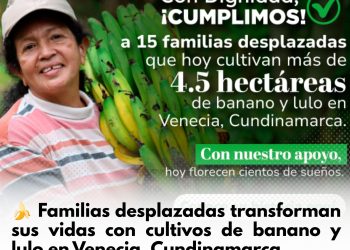 Familias campesinas cultivando banano y lulo en Venecia Cundinamarca