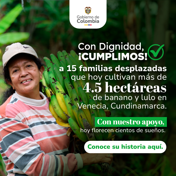 Familias campesinas cultivando banano y lulo en Venecia Cundinamarca