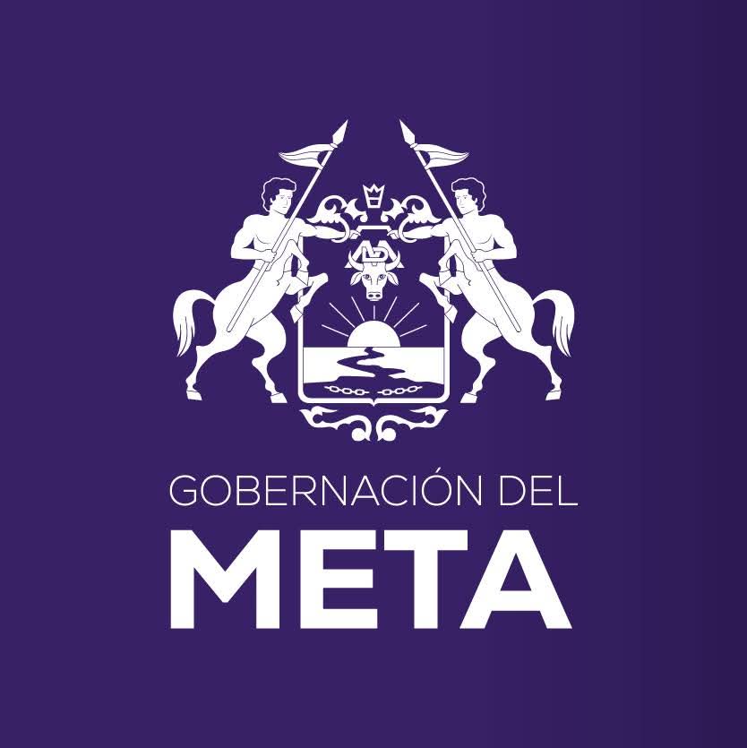 Gobernación Del Meta