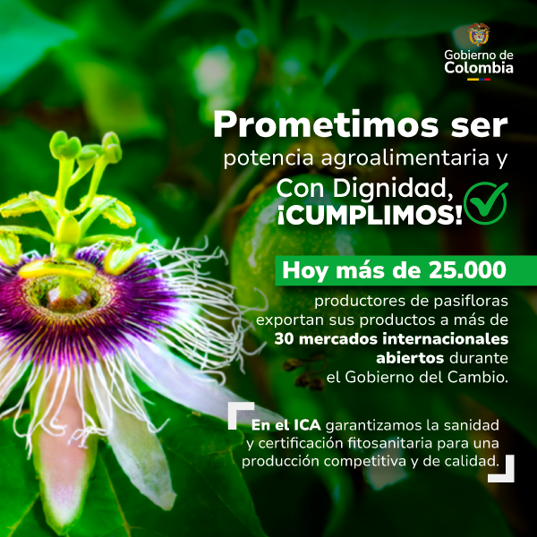 Productores colombianos de pasifloras impulsan exportaciones hacia mercados internacionales