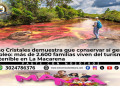 Turistas recorren Caño Cristales en La Macarena durante la temporada turística 2026 que beneficia a más de 2.600 familias del Meta.