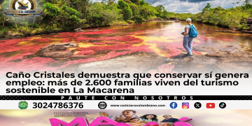 Turistas recorren Caño Cristales en La Macarena durante la temporada turística 2026 que beneficia a más de 2.600 familias del Meta.