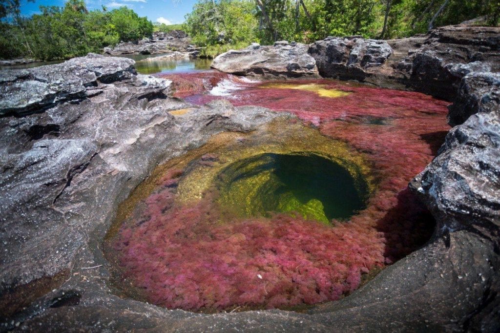 CAÑO CRISTALES