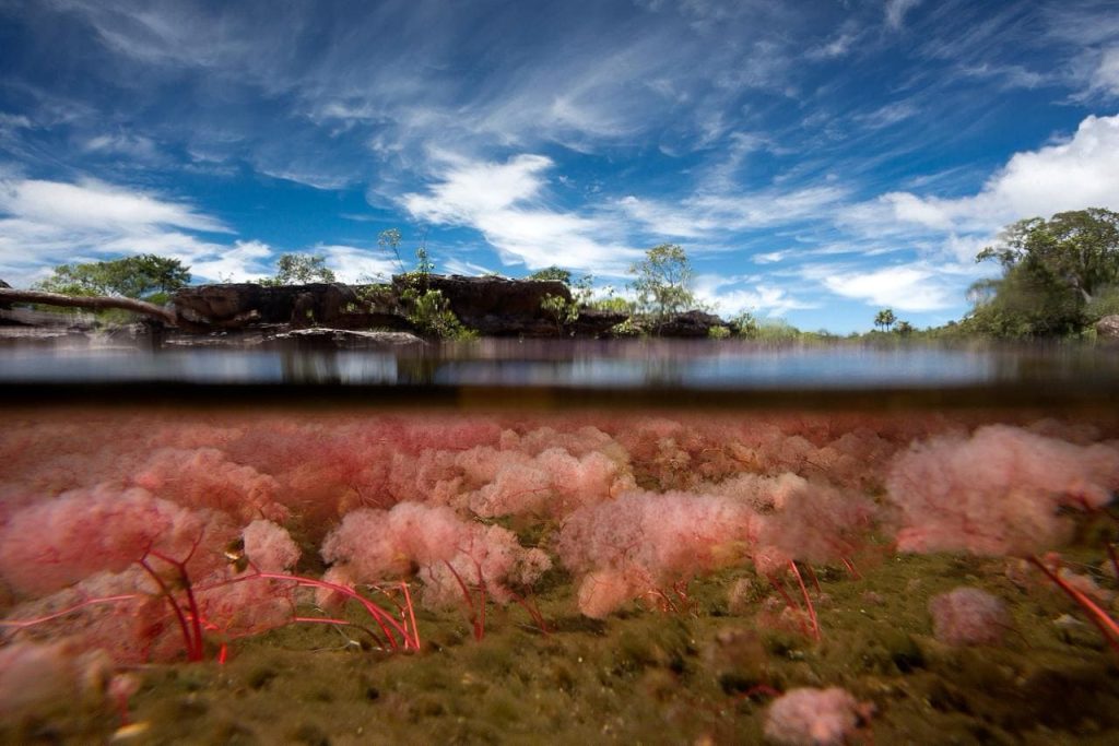 CAÑO CRISTALES