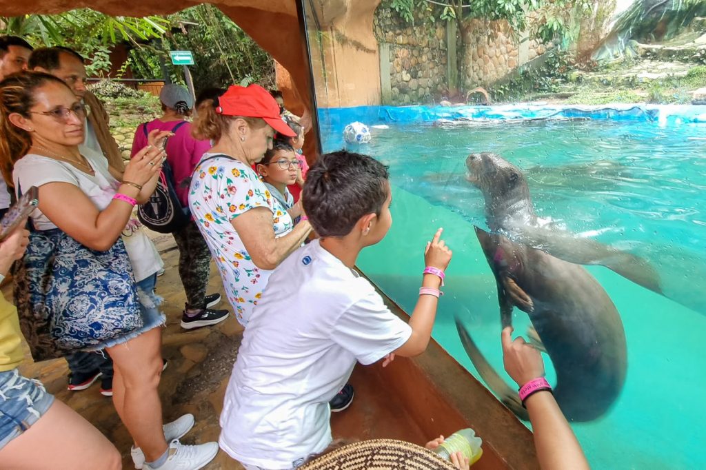 Bioparque Los Ocarros recibió 6.480 visitantes durante la semana de receso en el Meta